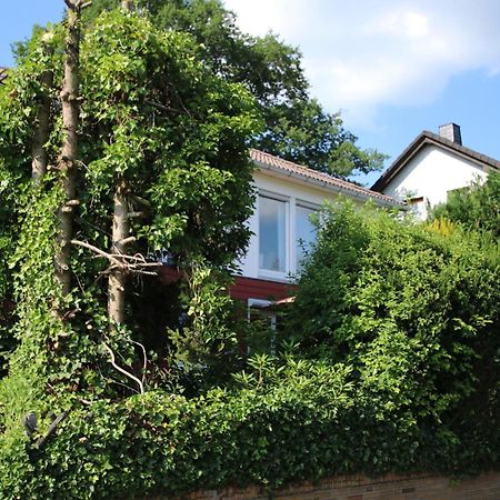 Ferienwohnung Rosengarten - a69639 Driedorf Exterior foto