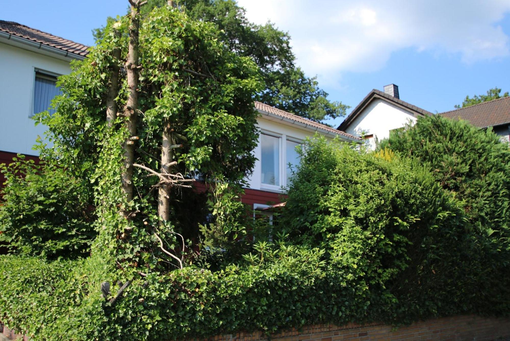 Ferienwohnung Rosengarten - a69639 Driedorf Exterior foto